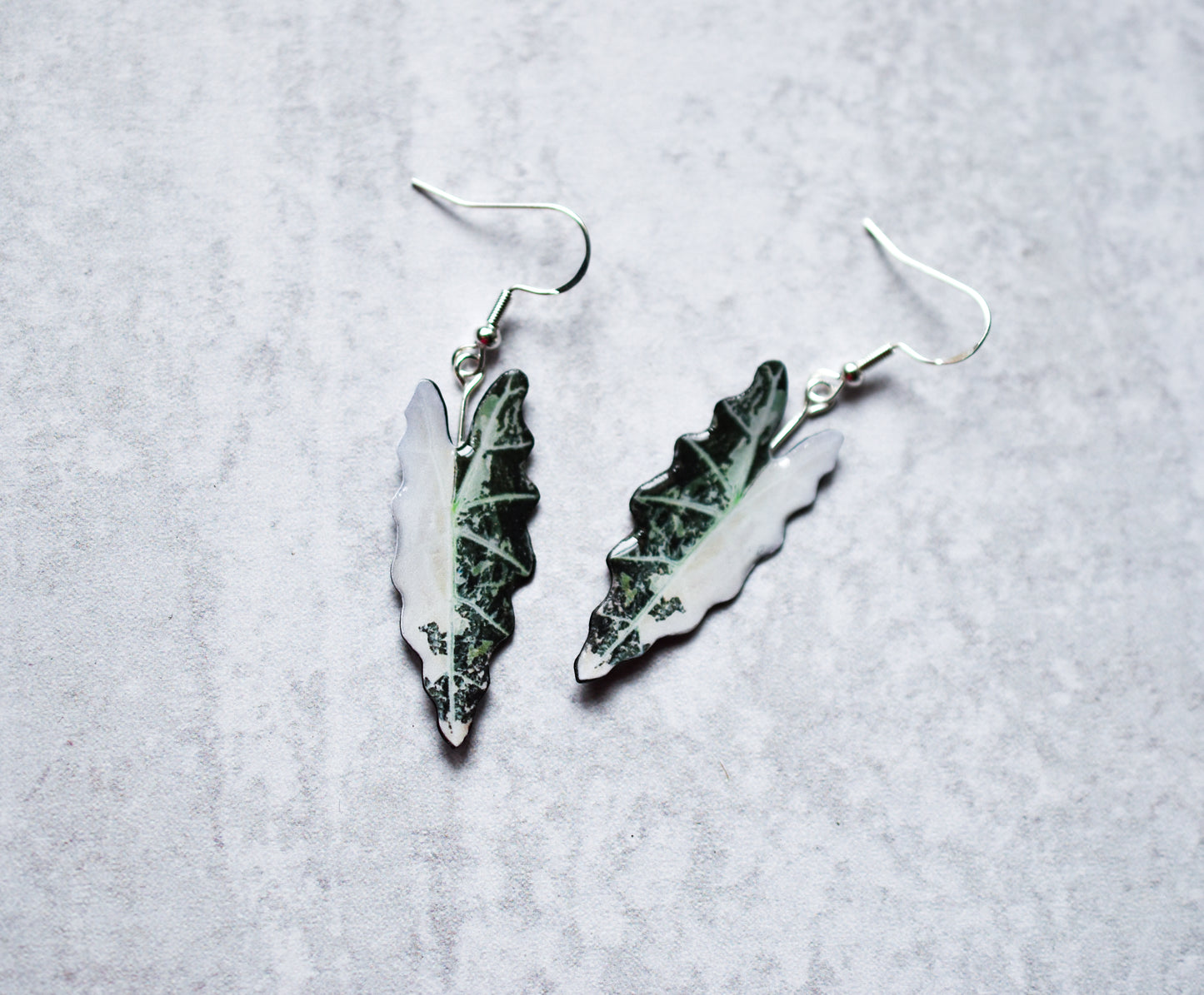Variegated Alocasia Amazonica Plant Earrings | Leaf Earrings