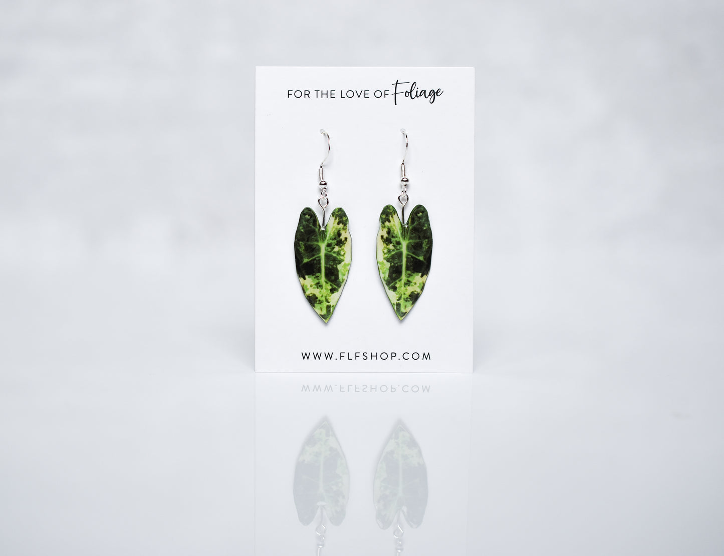 Variegated Alocasia Frydek Plant Earrings | Leaf Earrings