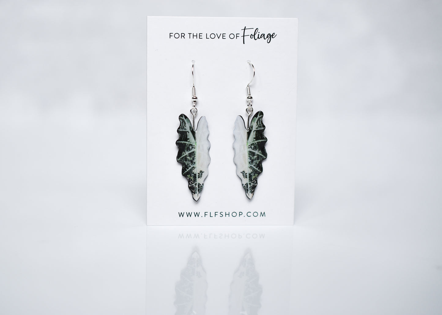 Variegated Alocasia Amazonica Plant Earrings | Leaf Earrings