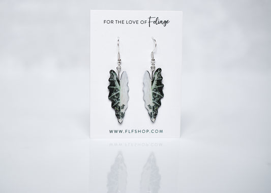 Variegated Alocasia Amazonica Plant Earrings | Leaf Earrings