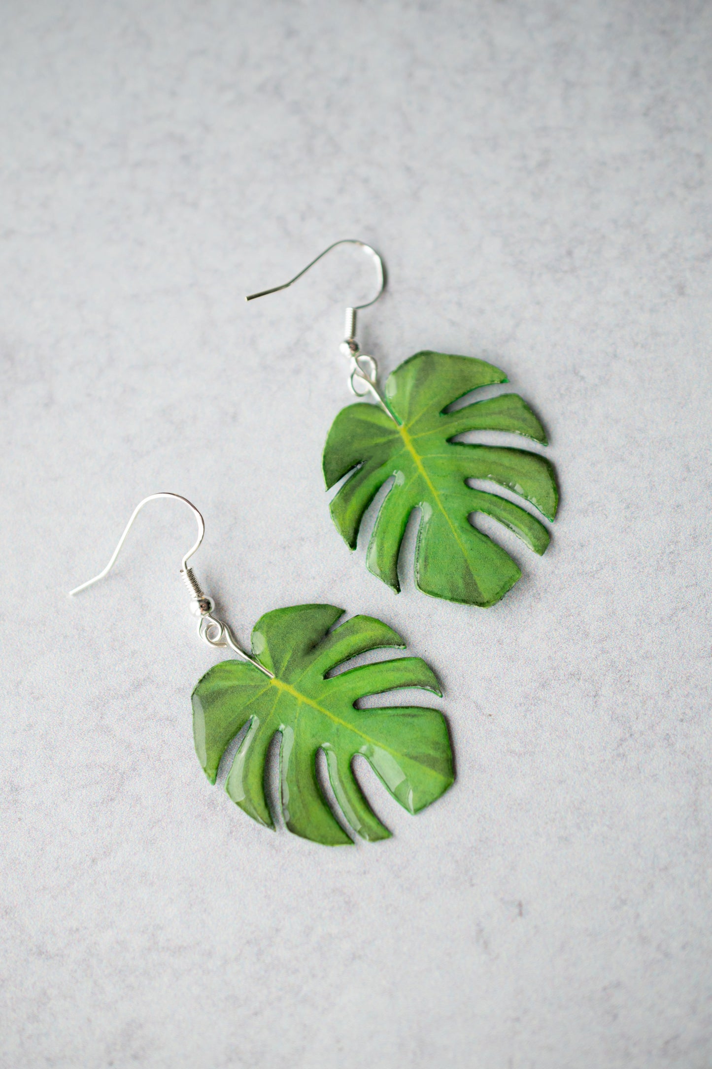 Monstera Deliciosa Plant Earrings | Leaf Earrings