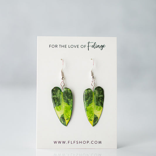 Philodendron Paraiso Verde Aurea Plant Earrings | Leaf Earrings