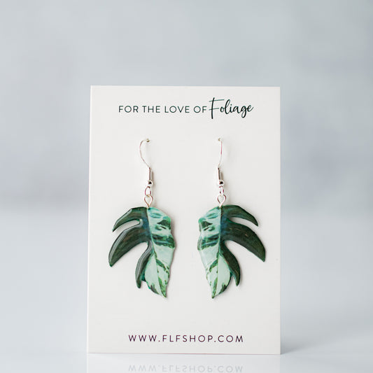 Epipremnum Pinnatum Albo Plant Earrings | Leaf Earrings