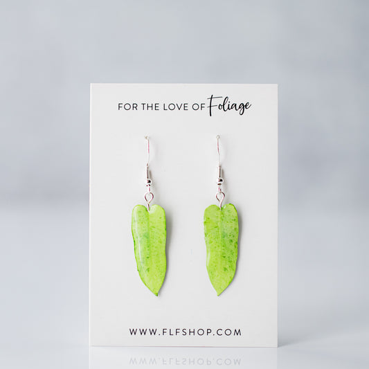 Philodendron Jose Buono Plant Earrings | Leaf Earrings