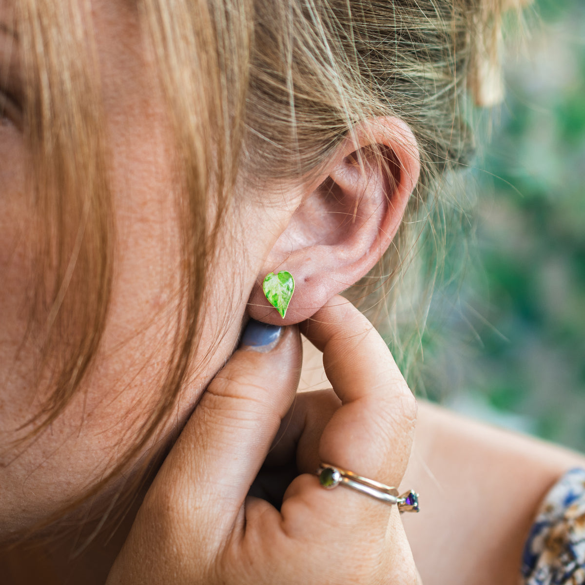 Variegated Heartleaf Philodendron Stud Earrings | Leaf Earrings