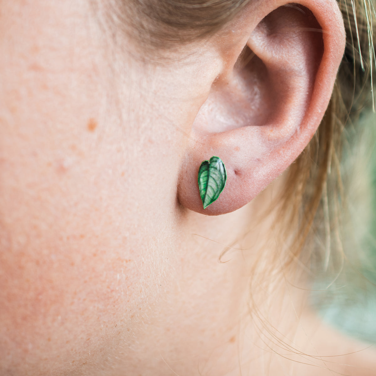 Monstera Siltepecana Stud Earrings | Leaf Earrings