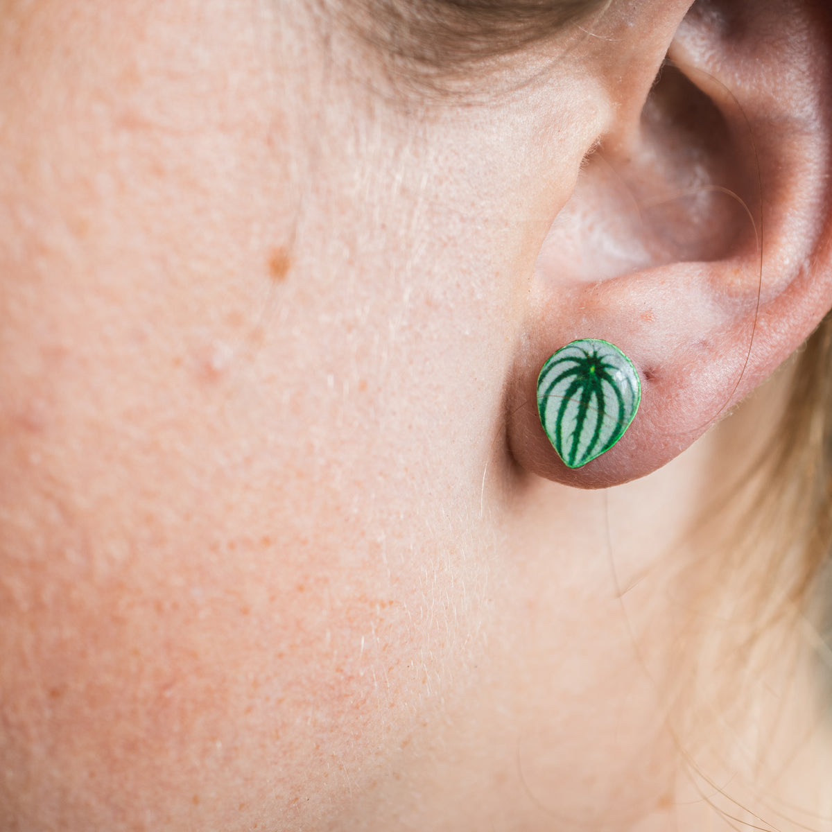 Watermelon Peperomia Stud Earrings | Leaf Earrings