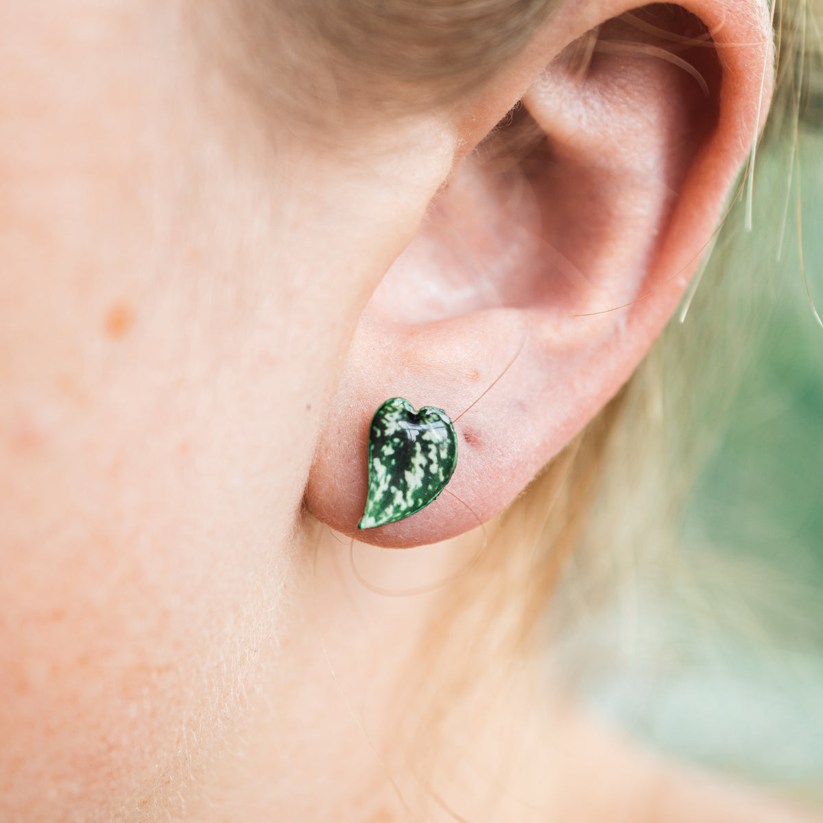 Scindapsus Argyraeus "Satin Pothos" Stud Earrings | Leaf Earrings