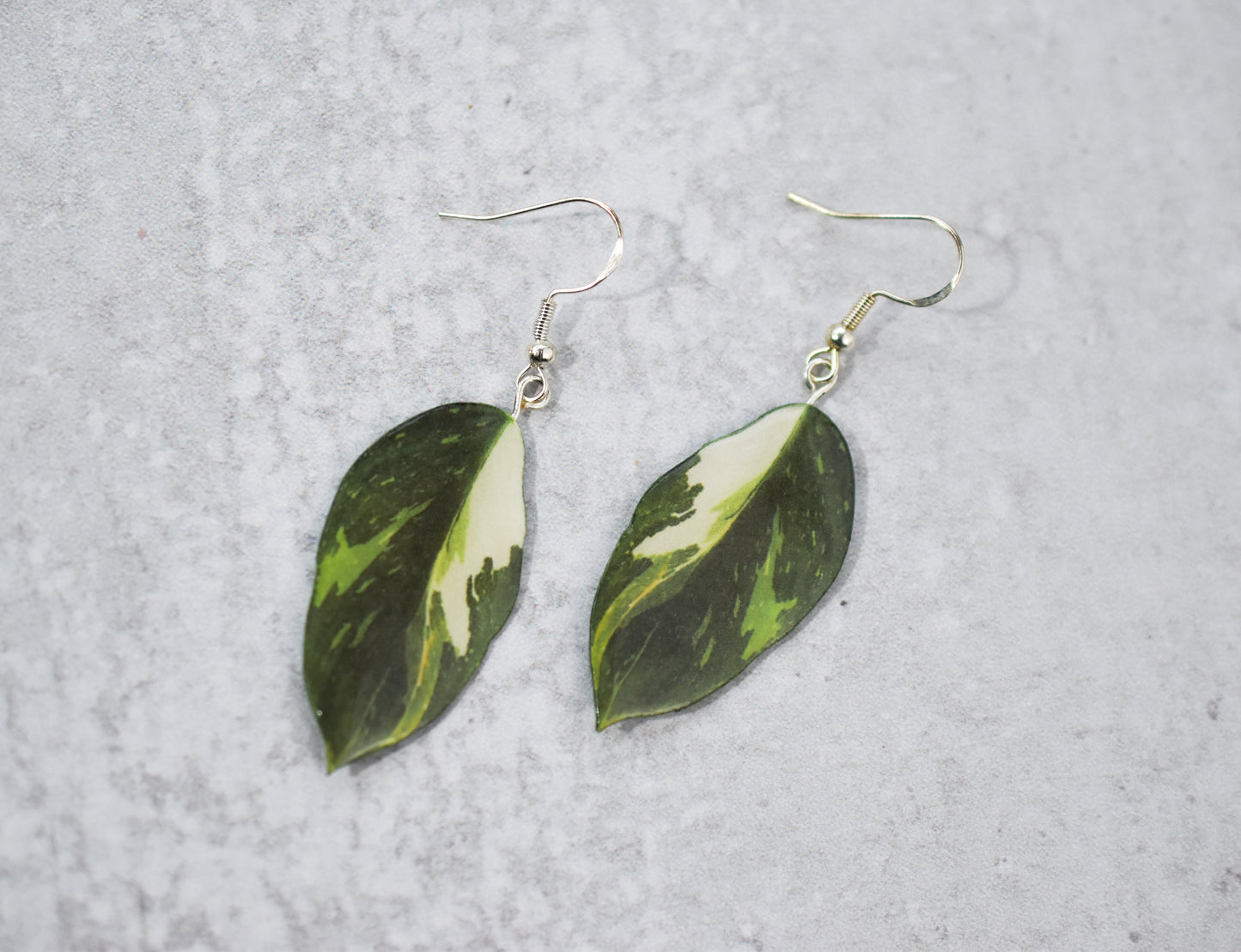 Philodendron "White Wizard" Plant Earrings | Leaf Earrings