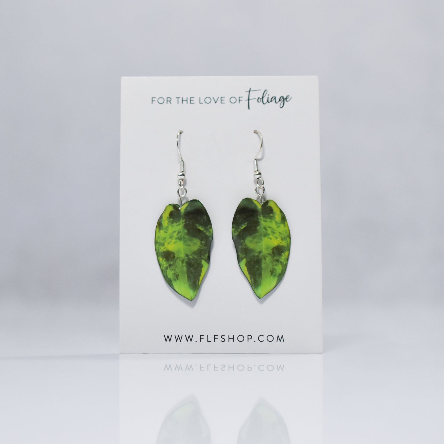 Philodendron Burle Marx Variegated Plant Leaf Earrings | Leaf Earrings
