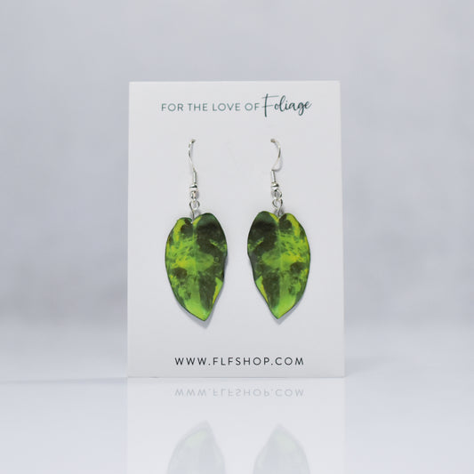 Philodendron Burle Marx Variegated Plant Leaf Earrings | Leaf Earrings