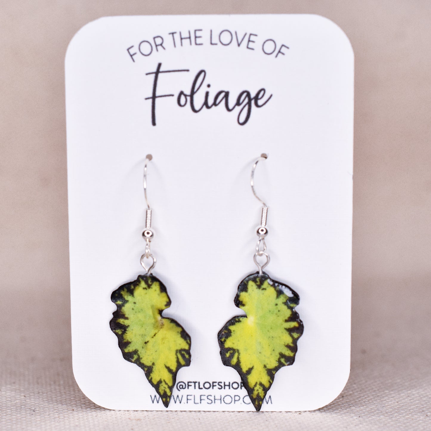 Eyelash Begonia  Plant Earrings | Leaf Earrings