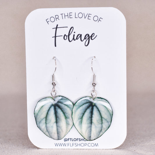 Peperomia "Silver Frost" Plant Earrings | Leaf Earrings