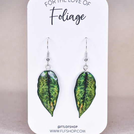 Aglaonema "Golden Papaya" Plant Earrings | Leaf Earrings