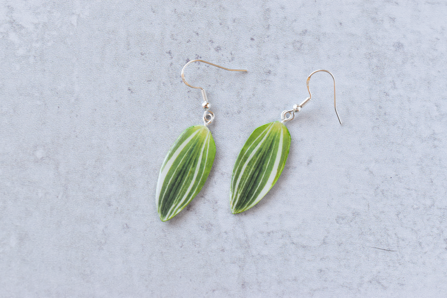 Tradescantia Albovittata Earrings | Leaf Earrings | Plant Earrings