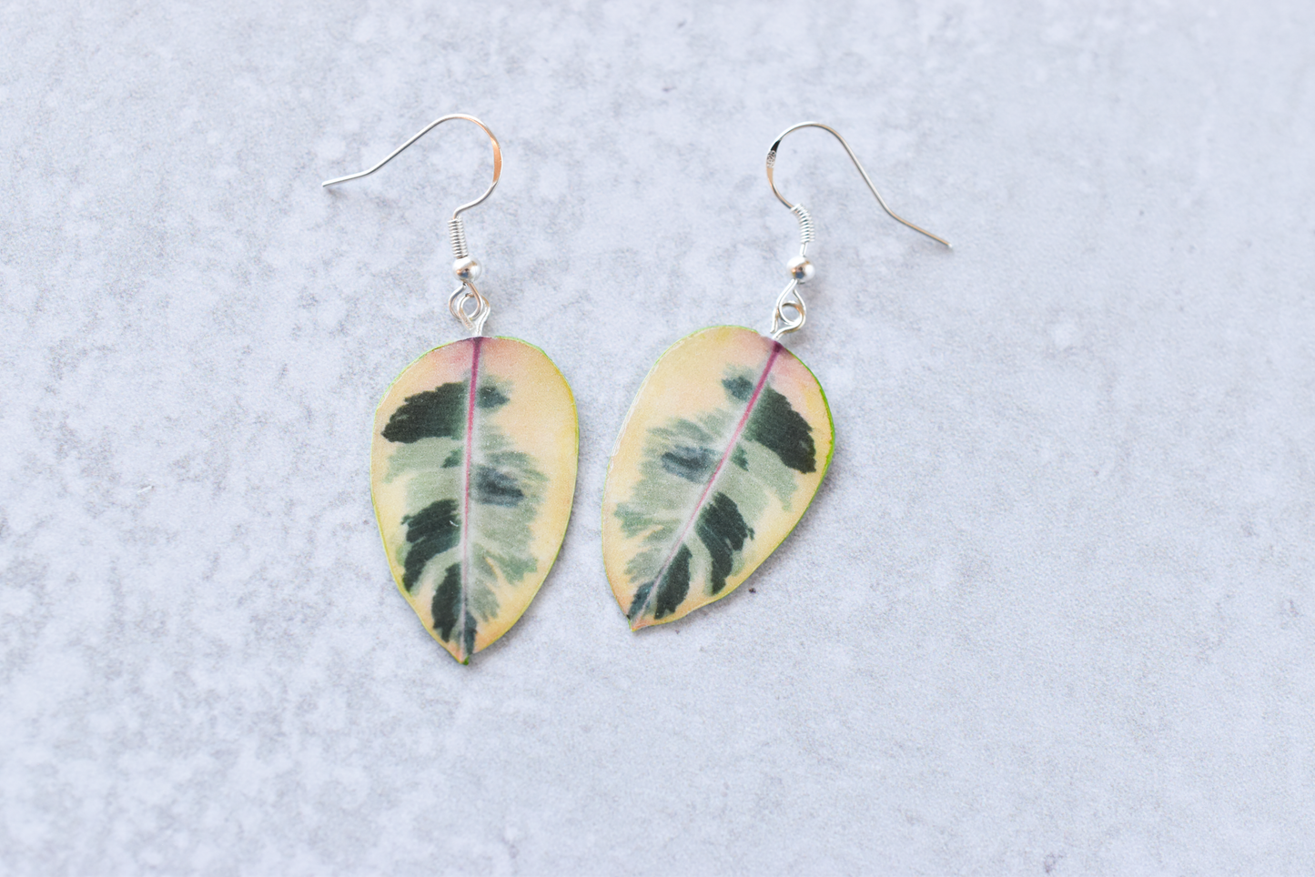 Ficus Tineke Plant Earrings | Leaf Earrings