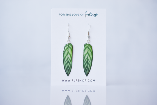 Calathea Bachemiana Plant Earrings | Leaf Earrings