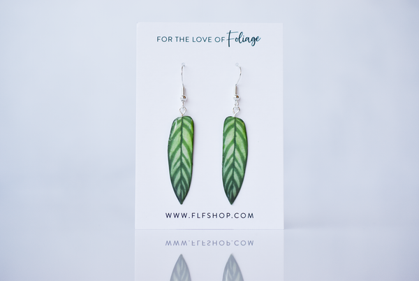 Calathea Bachemiana Plant Earrings | Leaf Earrings