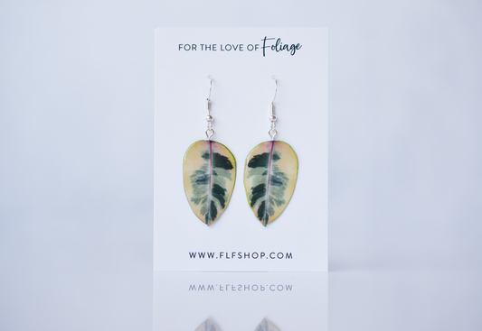 Ficus Tineke Plant Earrings | Leaf Earrings