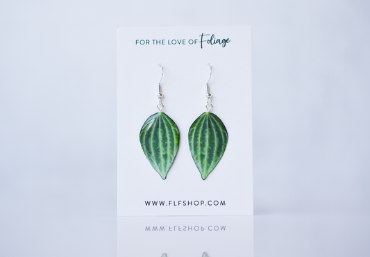 Peperomia Puteolata Plant Earrings | Leaf Earrings