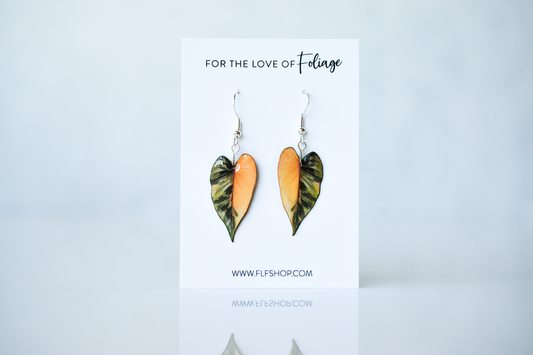 Homalomena Pink Diamond RARE Plant Earrings | Leaf Earrings