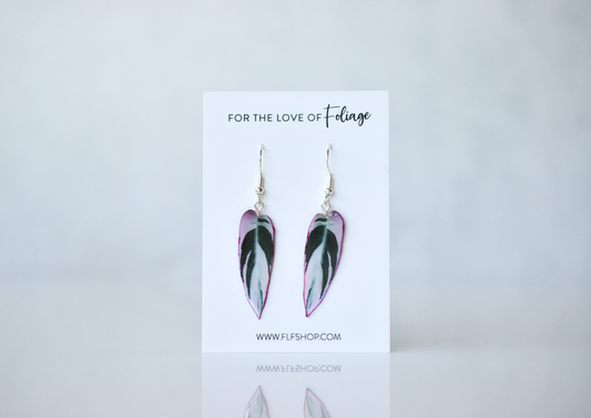 Stromanthe Triostar Plant Earrings | Leaf Earrings