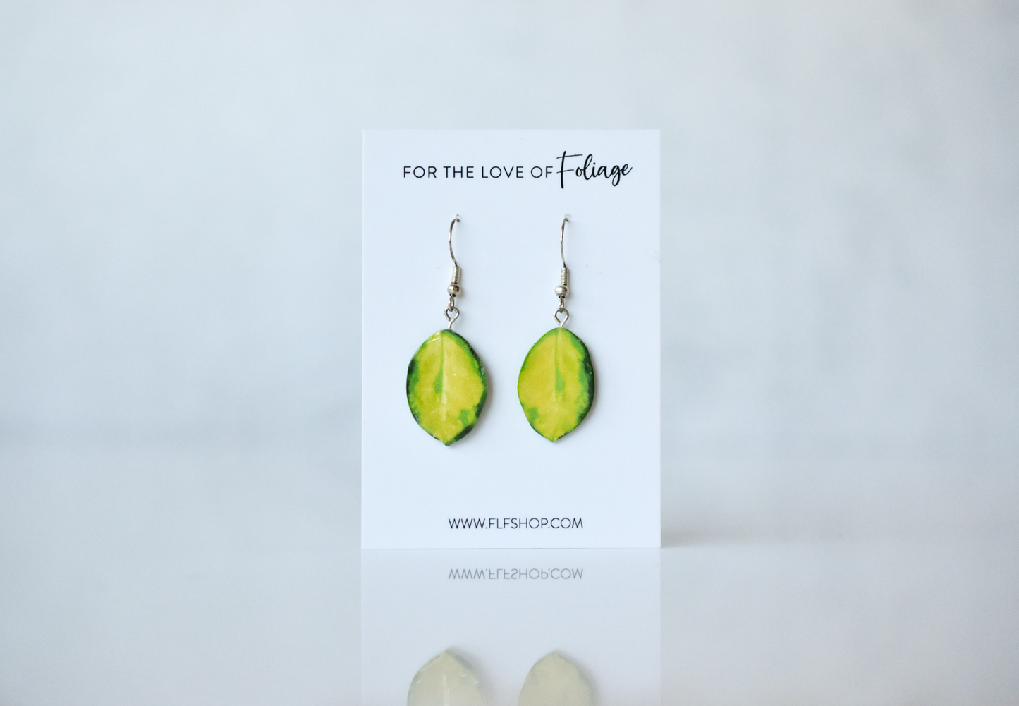 Hoya Australis Variegated “Lisa” Plant Earrings | Leaf Earrings