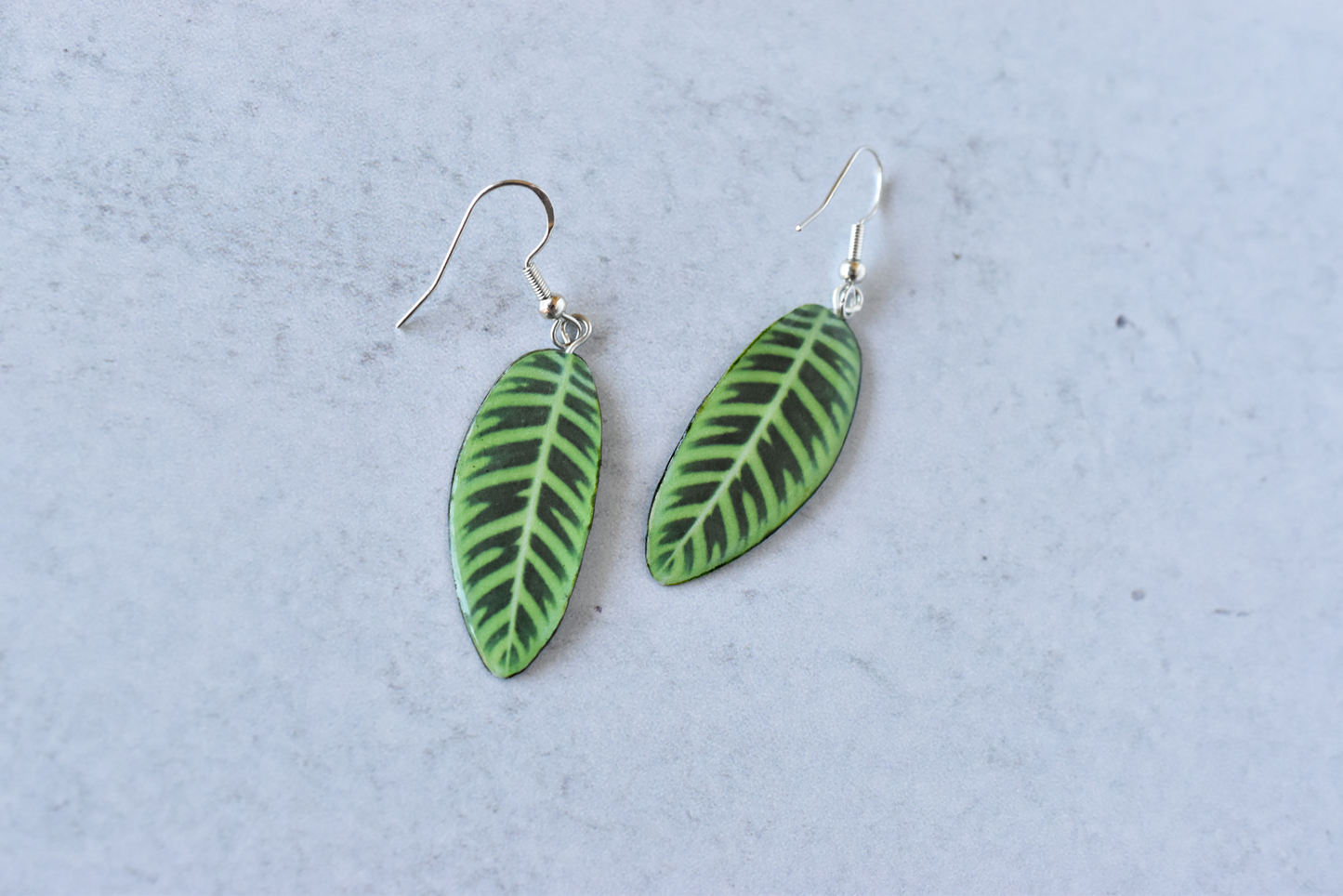 Calathea Zebrina Plant Earrings | Leaf Earrings