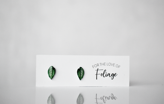 Monstera Siltepecana Stud Earrings | Leaf Earrings