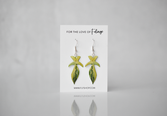 Philodendron Florida Beauty Plant Earrings | Leaf Earrings