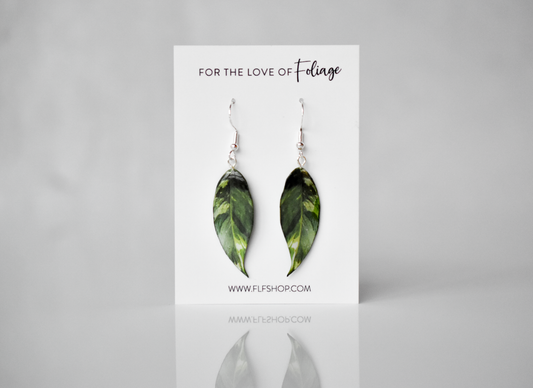 Variegated Peace Lilly Plant Earrings | Leaf Earrings