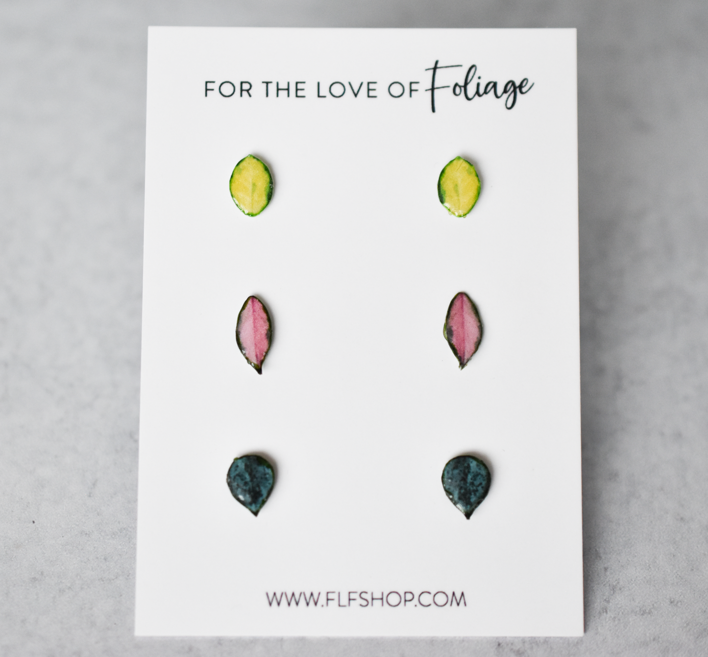 Hoya Stud Earring 3-Pack | Leaf Earrings | Hoya Krimson Princess | Hoya Lisa | Hoya Krohniana Silver