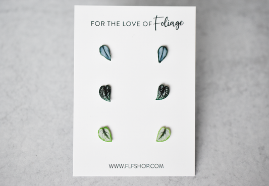 Scindapsus Stud Earring 3-Pack | Leaf Earrings | Satin Pothos | Argyraeus | Exotica | Treubii Moonlight