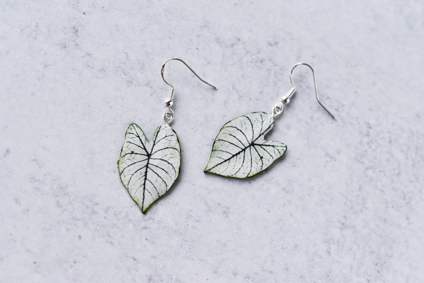 Caladium "White Christmas" Plant Earrings | Leaf Earrings