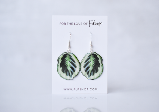 Calathea Roseopicta “Marion” Plant Earrings | Leaf Earrings