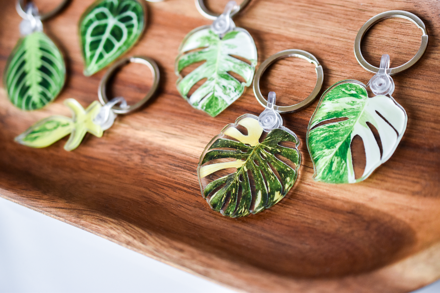 Monstera Albo Half Moon Acrylic Leaf Keychain