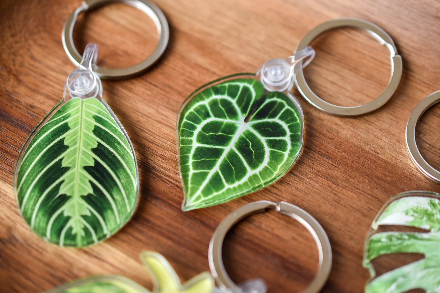 Anthurium Clarinervium Leaf Keychain