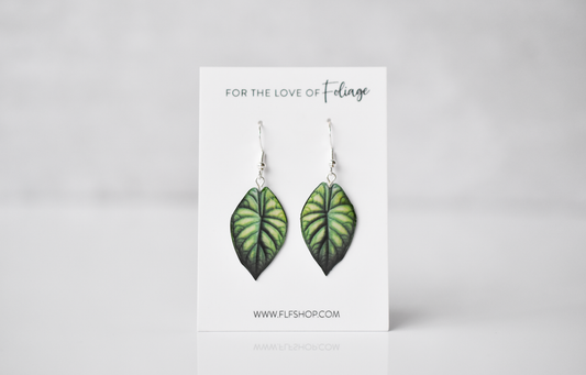 Alocasia Dragon Scale Plant Earrings | Leaf Earrings
