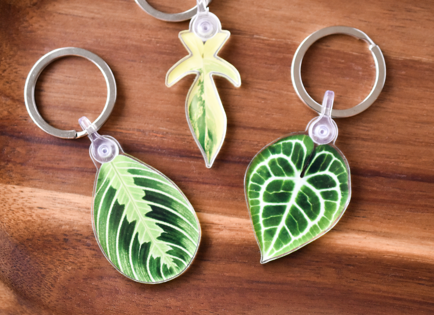 Anthurium Clarinervium Leaf Keychain