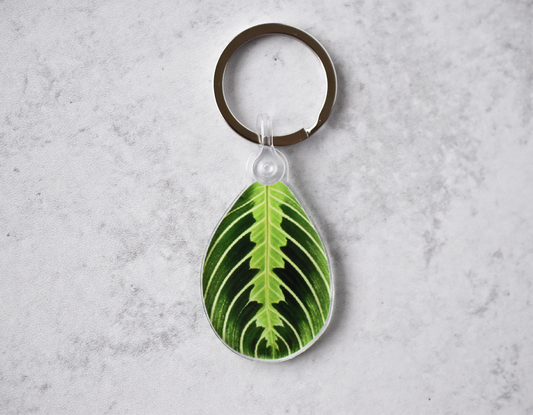 Adansonii Half Moon Acrylic Leaf Keychain