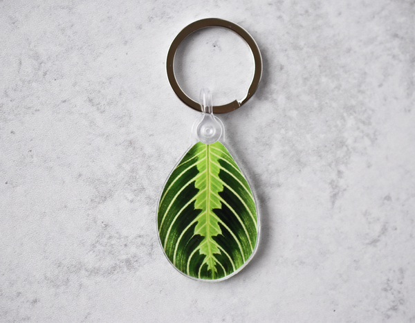 Maranta Lemon Lime Acrylic Leaf Keychain