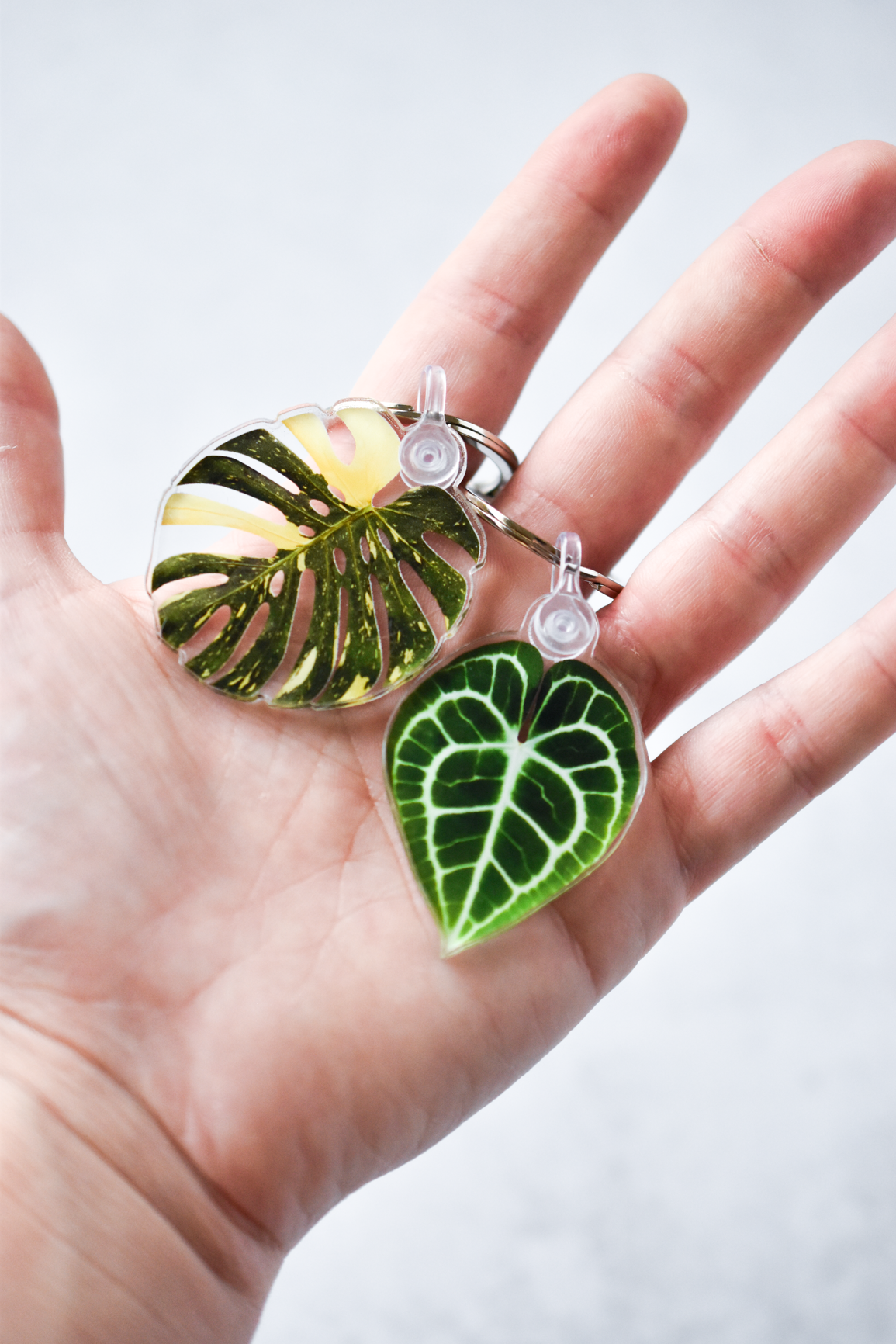 Anthurium Clarinervium Leaf Keychain