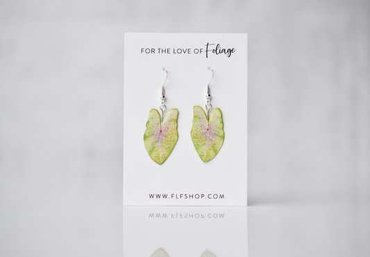 Caladium "Sea Foam Pink" Plant Earrings | Leaf Earrings