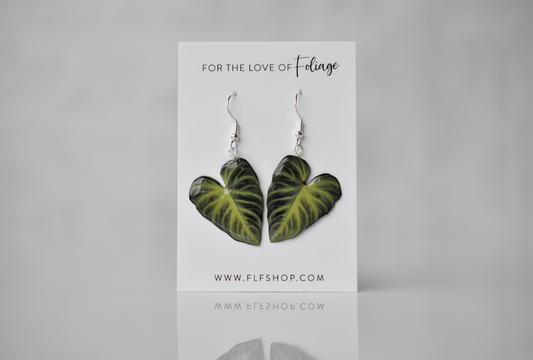 Philodendron Verrucosum || Handmade Leaf Earrings || Plant Earrings || Sterling Silver Earrings