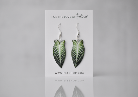 Caladium Lindenii Plant Earrings | Leaf Earrings