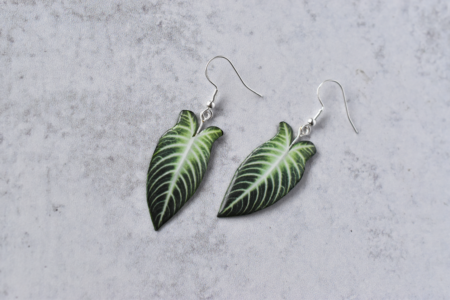 Caladium Lindenii Plant Earrings | Leaf Earrings