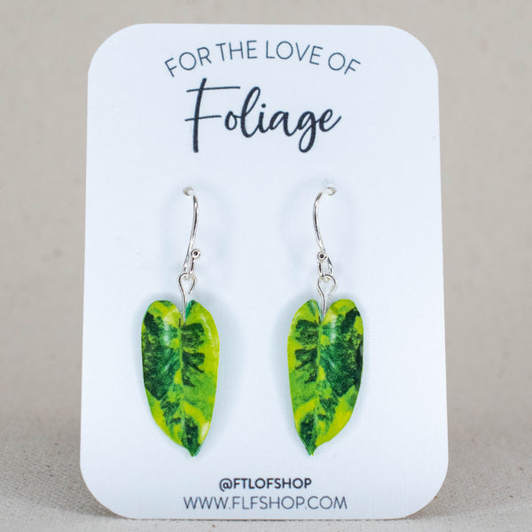 Philodendron Burle Marx Variegated Plant Leaf Earrings | Leaf Earrings