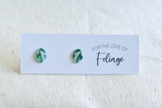Pothos N'Joy Stud Earrings | Leaf Earrings