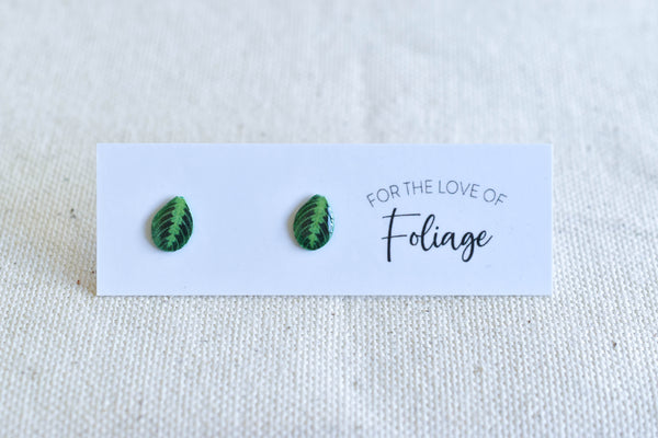 Lemon Lime Maranta Stud Earrings | Leaf Earrings