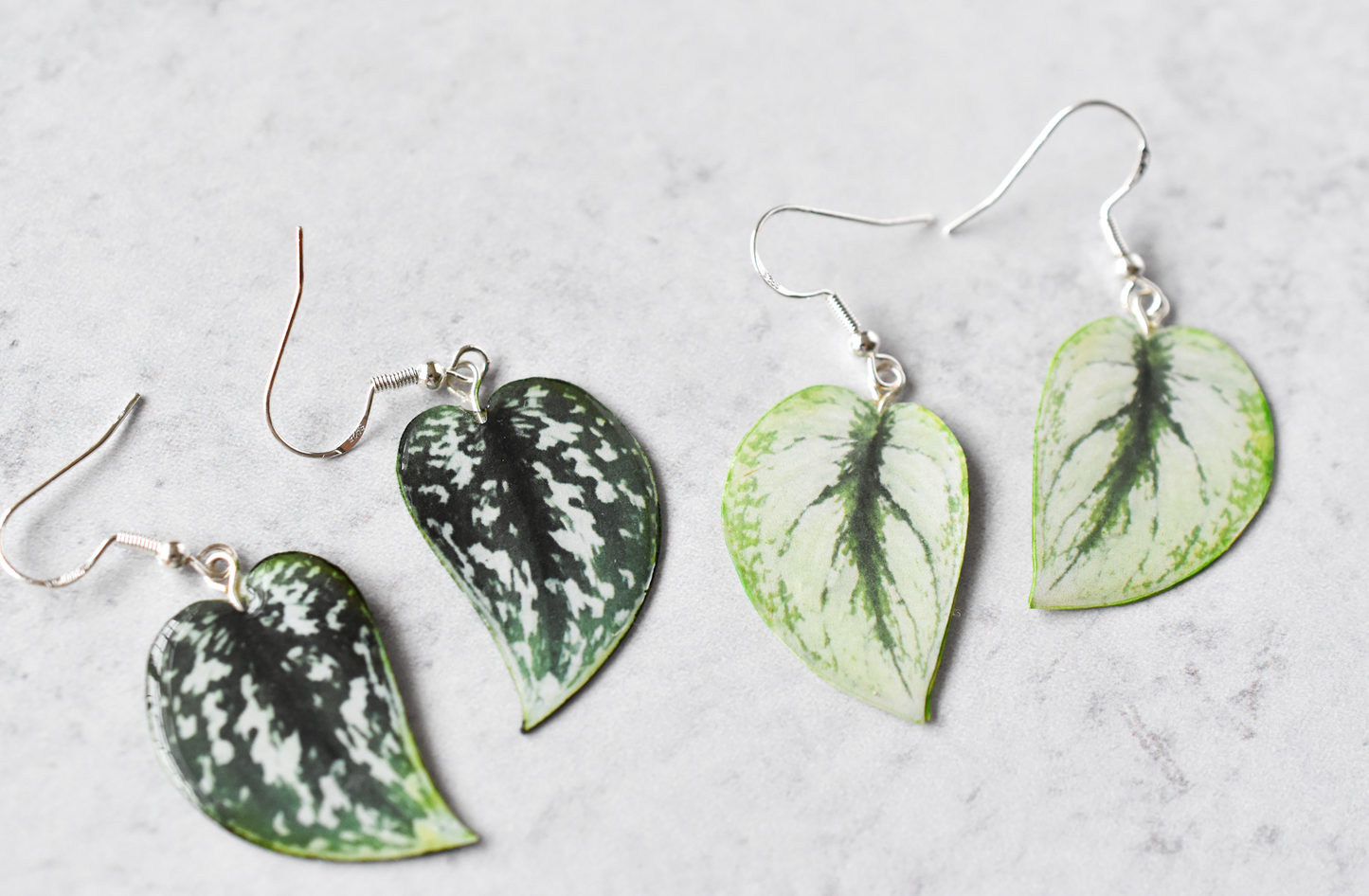 Scindapsus Argyraeus "Satin Pothos" Plant Earrings | Leaf Earrings